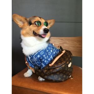 シュプリーム LV コラボ 犬服 ルイヴィトン ペット服