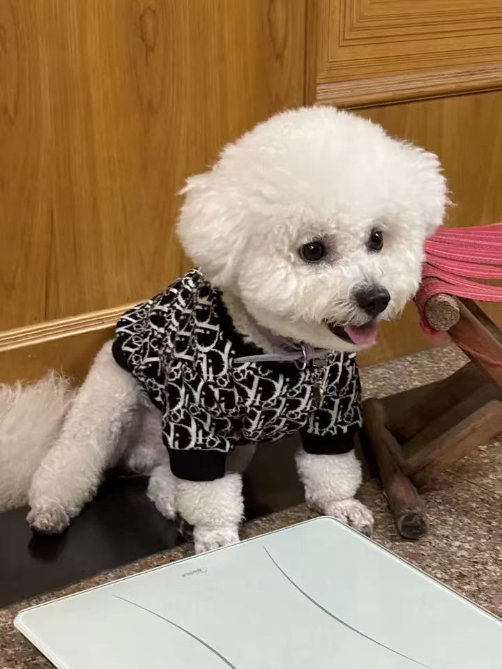 ルイヴィトン 犬のセーター ディオール グッチ ペット服 犬猫の服