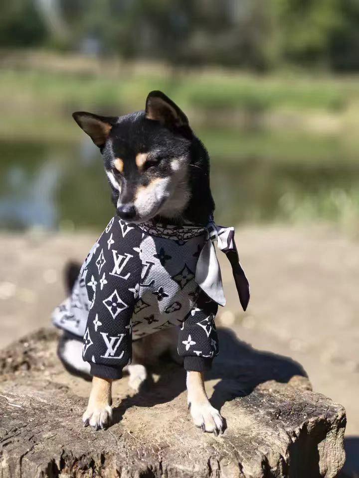 ルイヴィトン ペット服 犬と飼い主のペアルックの服 ペット親子服 秋冬 A28834