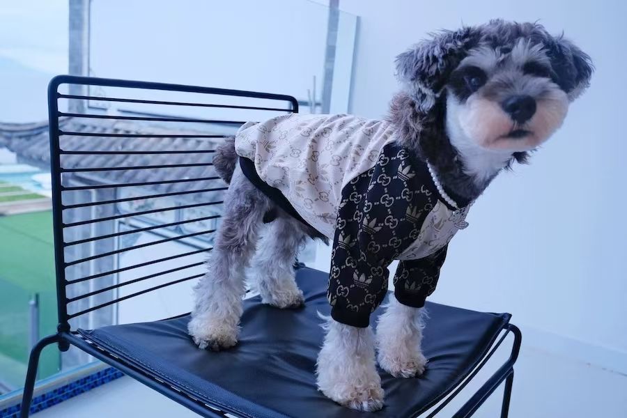 グッチ アディダス コラボ ペット服 犬のトレーナー 秋冬 A28880