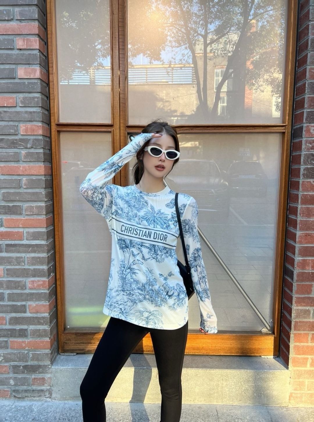 ディオール 長袖Tシャツ レディース プリント A31010