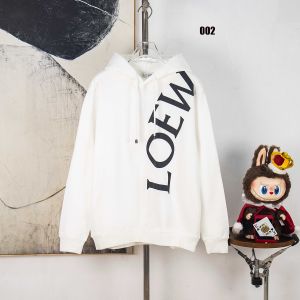 ロエベ フード付き パーカー ロゴプリント 高品質 osサイズ A31278