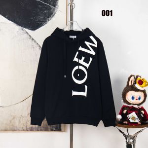 ロエベ フード付き パーカー ロゴプリント 高品質 osサイズ A31278