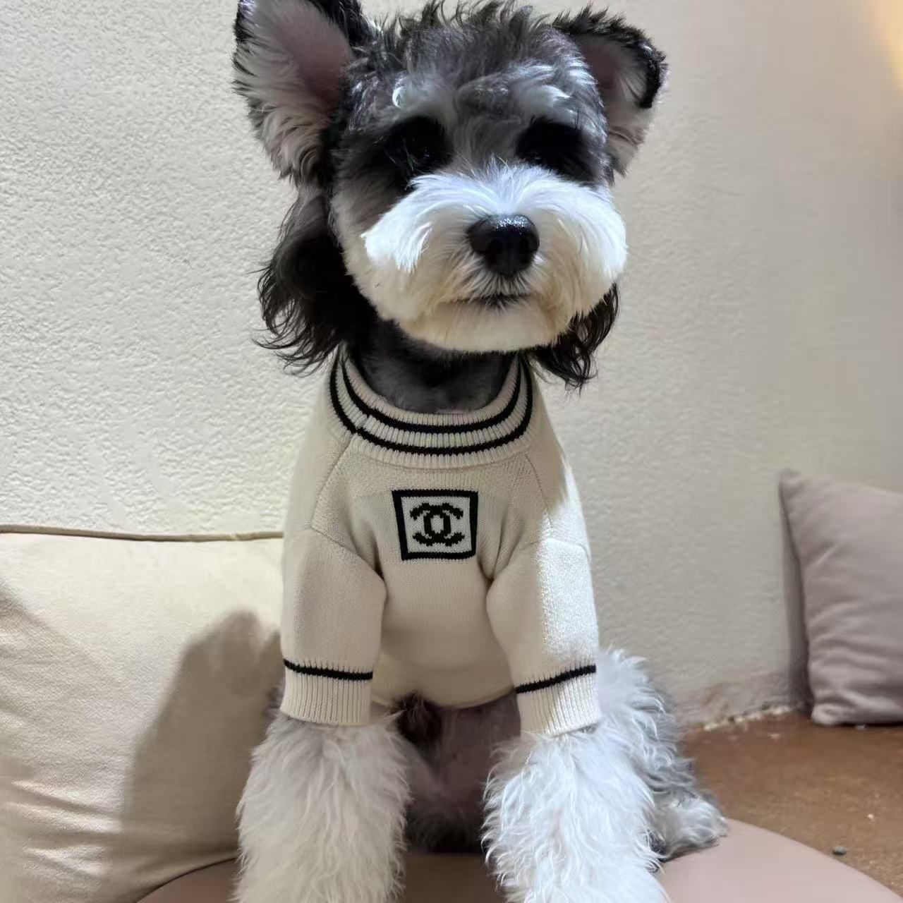 可愛い シャネル 犬のセーター ニット ペット服 犬猫の服 ブランド CHANEL 犬服