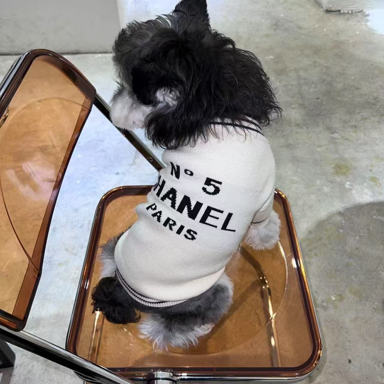 可愛い シャネル 犬のセーター ニット ペット服 犬猫の服 ブランド CHANEL 犬服