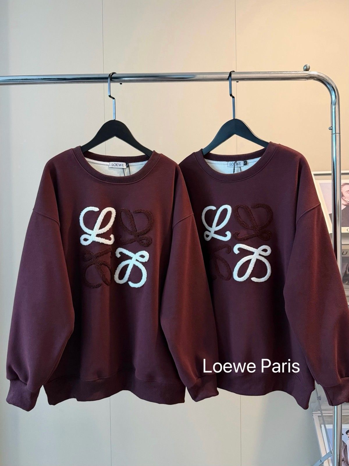 ロエベ スウェットシャツ トレーナー 裏起毛 A31831