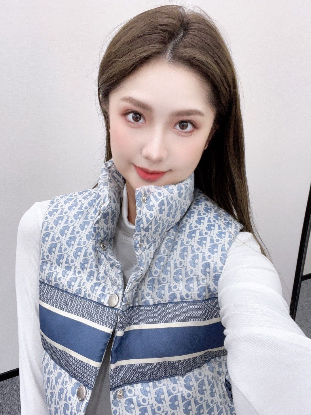 ディオール ダウンベスト ダブルフェイス ジャカード スタンドカラー A31888