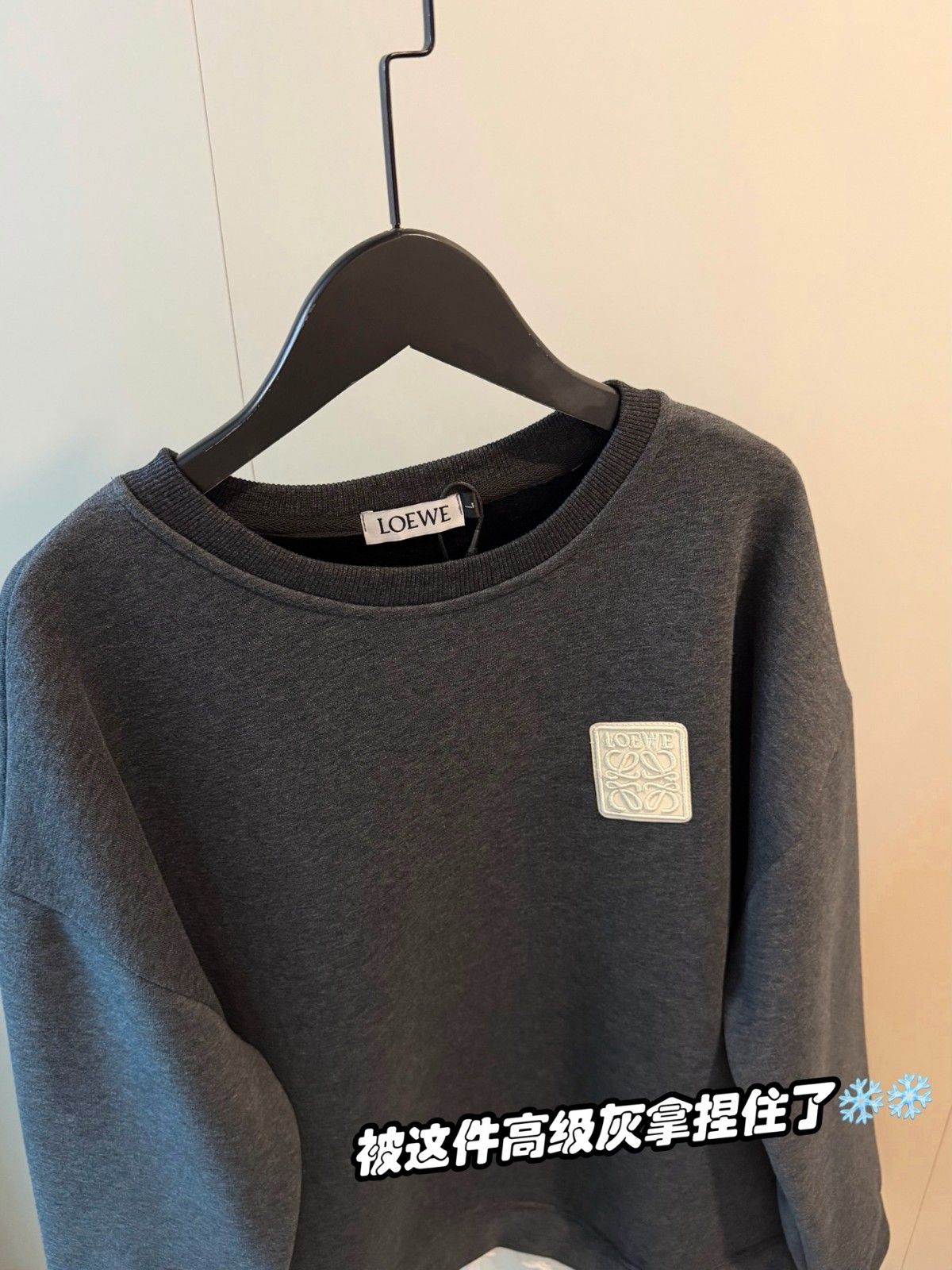 ロエベ トレーナー スウェットシャツ 裏起毛 A31894